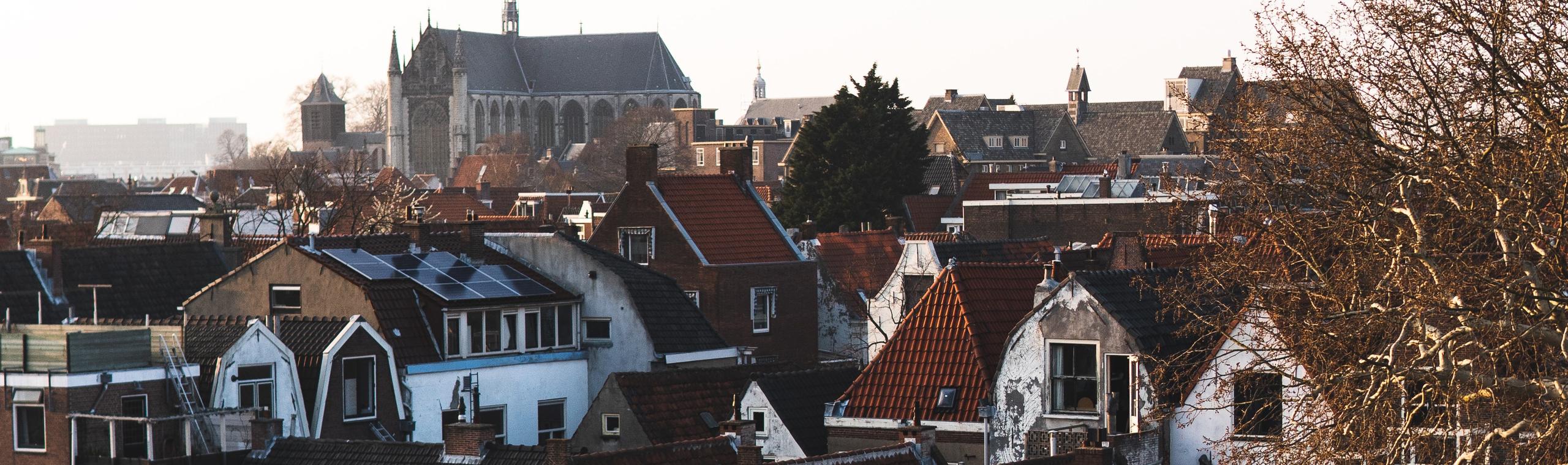 Uitzicht op huizen en de burcht in Leiden